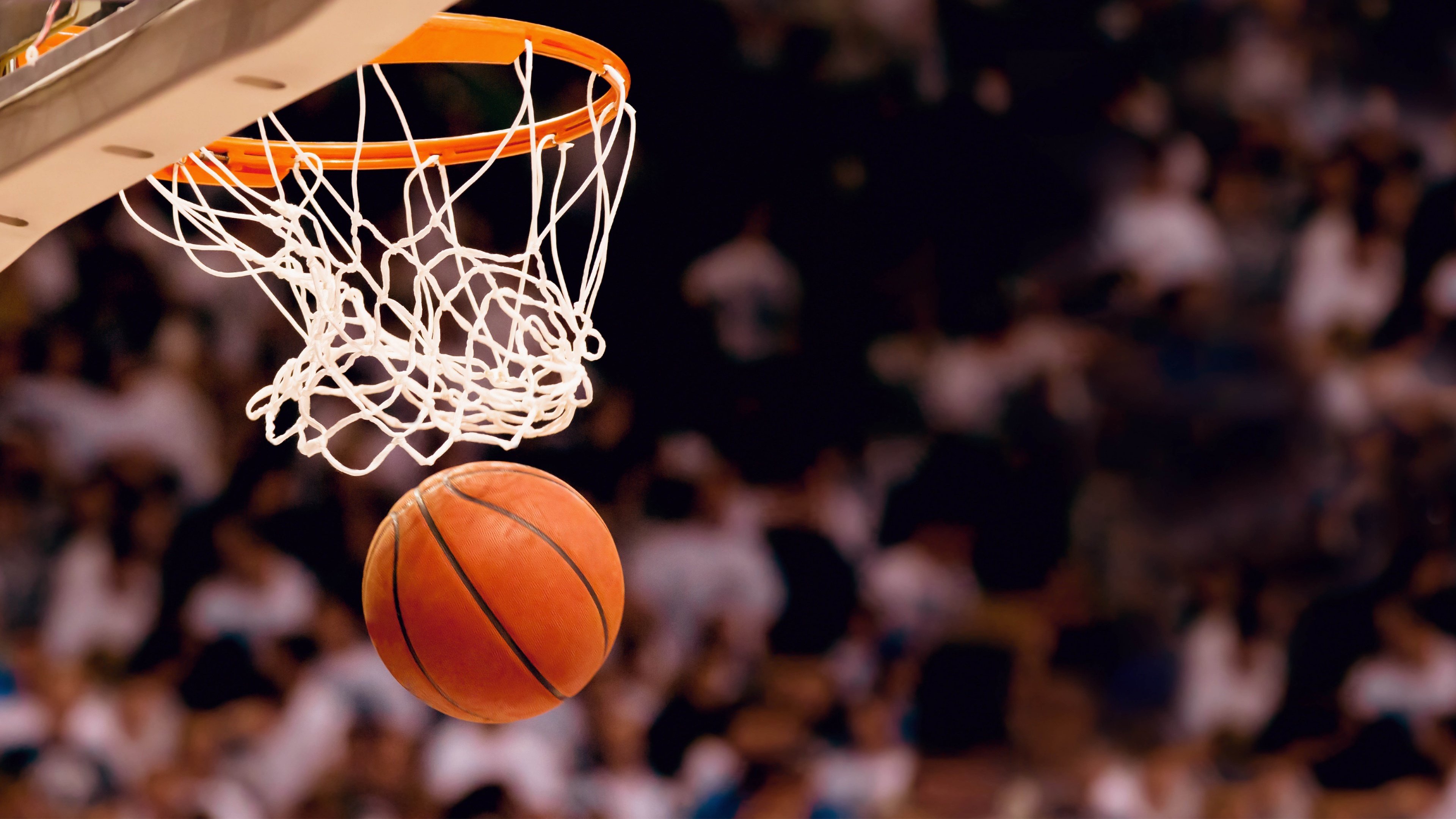 铁闸镇山河,范戴克演王者归来,葡萄牙陷落C组死亡之局